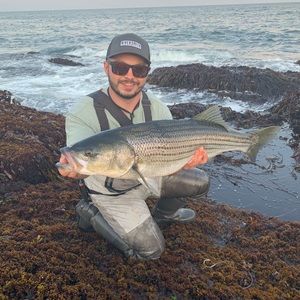 Meet your Posher, Riley